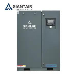 GiantAir 2.2kw 0.24m3/min Belt Drive Oil Free Compresor Scroll Type Air Compressor for Food Processing