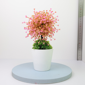 Plante succulente à prix d'usine, bonsaï miniature, décoration de table, belle plante artificielle verte avec <span class=keywords><strong>pot</strong></span> - Product Image 2