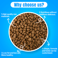 Nourriture pour chiens adultes de petite race OEM, petits croquettes, 26% de protéines, soin dentaire, palatabilité, peau et pelage, 2kg 3kg 8kg