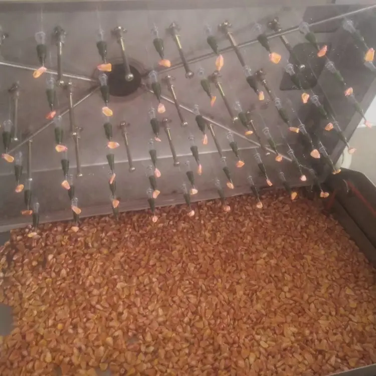 Precise Seeding High Efficiency tomato seeds machine corn seed planting machine
