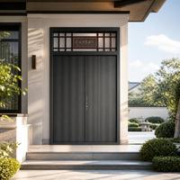 Porte d'entrée double de sécurité moderne en acier inoxydable noir, peinture cuite de luxe pour villa et appartement