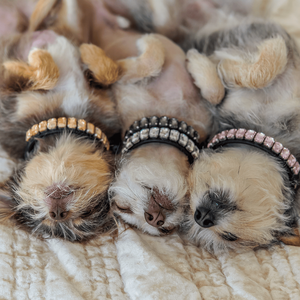 Personalizado Blinged Out <span class=keywords><strong>Collar</strong></span> de cuero de diamantes de imitación de moda pequeño grande Jeweled <span class=keywords><strong>Collar</strong></span> de perro de diamantes de imitación - Product Image 4