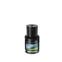 Nouveau diffuseur intelligent de parfum d'aromathérapie pour la maison et la voiture, désodorisant en spray à parfum longue durée