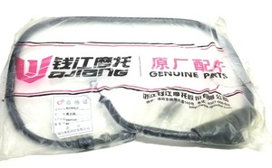 PLC <strong>BANELLI</strong> BJ300GS Bike Pads, Key,Oil Filter,Clutch Cbl,Fuel &amp;amp; Air Filter Kit Warranty Product - Product Image 1