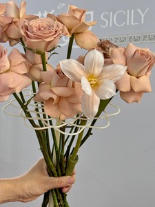 Nouveau design 2024 D22.5*H25cm Support rond en plastique ABS pour la rotation manuelle, matériel de fixation pour l'emballage floral destiné aux fleuristes - Product Image 4