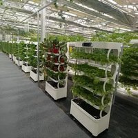 Pot de fleurs en plastique ABS écologique hydroponique pour jardin intérieur/extérieur et système de plantation de légumes et de fleurs