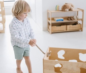 Ensemble personnalisé de deux boîtes mobilier Montessori de style vache pour enfants en bas âge salle de jeux ferme pépinière jouets coffres organisateurs - Product Image 3