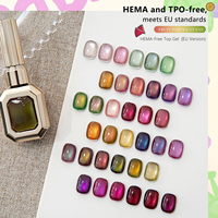 Kit de vernis à ongles gel œil de chat aux fruits, 100 couleurs, sans HEMA ni TPO, à retirer par trempage, vente en gros, kit de gel UV personnalisé et échantillon sur support en cuir
