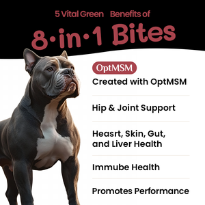 Etiqueta privada Alimentos para la salud de las mascotas Vitamina nutricional para las articulaciones de las mascotas Cuidado de la salud y suplementos Vitaminas y suplementos para perros - Product Image 2