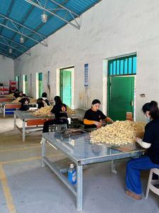 Allume-feu naturel en laine de <span class=keywords><strong>bois</strong></span> pour le camping en extérieur, avec boîte de présentation – Fabricant - Product Image 6