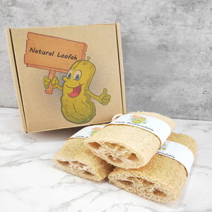 Großhandel Umweltfreundlicher Organischer Bade-Luffa-Schwamm Bürstentyp Peeling-Schwamm REACH-Zertifiziert Natürlich Private Label - Product Image 4