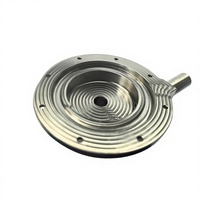 Casing Volute Baja Tahan Karat 316L, Pemesinan CNC 5-Axis, Bagian Presisi Berdinding Tipis