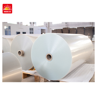 Vinilo Termotransferible Imprimible para Mascotas, Lámina de Serigrafía, Papel de Transferencia A3 A4, 60cm*100m, Película de Transferencia de Despegue en Frío y Caliente