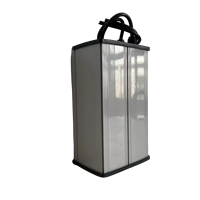 Baterai LiFePO4 Siklus Dalam 12V 30ah 50ah 100ah untuk Lampu Jalan Tenaga Surya dengan BMS Pintar
