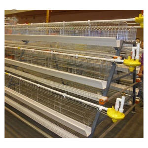 Gabbie per galline, - Product Image 3