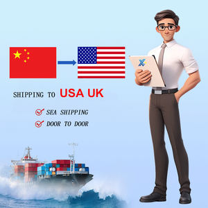 中国到欧洲、美国、非洲 航空海运 DDP 运输代理 货运代理 门到门物流服务 - Product Image 1