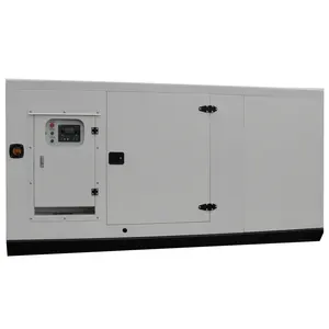 AC 3 상 침묵 100kva 디젤 발전기 80kw 발전기가있는 디젤 발전기