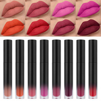 Gloss à lèvres liquide mat style occidental, non desséchant, résistant au transfert, vente en gros
