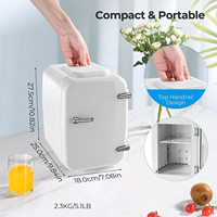 Mini Frigo Portable 4L pour Soins de la Peau, de Qualité et Abordable, Idéal pour Chambre ou Hôtel