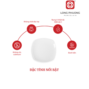 Assiette carrée 9 ''de qualité supérieure de taille personnalisée en céramique servant de la salade/nourriture hôtels/restaurants de luxe assiettes fournisseur - Product Image 5