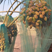 Fruitboom Bescherm Mono Mesh Net Groene Pe Dadelzak Palm Dadelzak Voor Dadels Vruchtbedekking