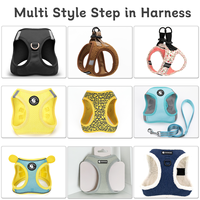 Ensemble Harnais et Laisse Personnalisés pour Chien, en Maille Respirante et Douce, pour Chiens de Petite et Moyenne Taille, Colliers et Laisses pour Animaux de Compagnie, Fabrication OEM