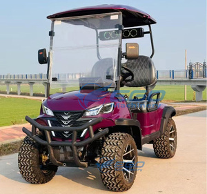Carrito de Golf Eléctrico de 2 Plazas para Exteriores, Precio de Fábrica, Certificado CE, Nuevo, para Exportación, para Campos de Golf y Turismo - Product Image 2