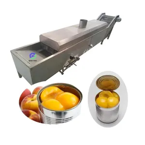 Machine de pasteurisation d'aliments emballés sous vide au bain-marie/machine de pasteurisation de pâte de tomate à tunnel