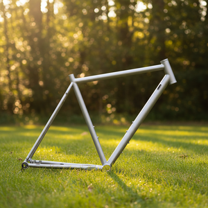 Telaio per Bici Gravel in Titanio UDH con Design Dropout per Set Sterzo Esterno, per Pneumatici 45c - Product Image 1