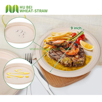 Assiettes Rondes Biodégradables en Pulpe de Bagasse de Canne à Sucre de 8 Pouces pour Fêtes, Mariages, Anniversaires et Traiteur