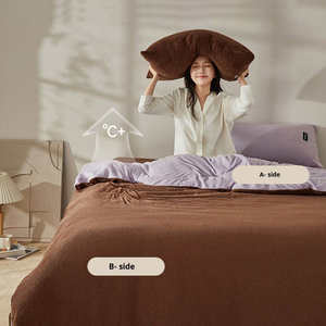 Parure de lit en velours de lait uni double face, ensemble quatre pièces ou trois pièces, housse de couette et drap doux et chauds, vente en gros - Product Image 3