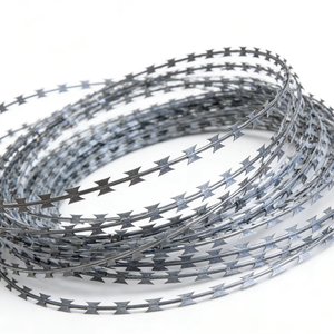 Alambre de Púas Galvanizado en Caliente de Alta Resistencia a la Corrosión BTO-22, Alambre de <span class=keywords><strong>Concertina</strong></span> para Cercas Perimetrales de Alta Seguridad - Product Image 1