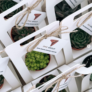 Boîte d'emballage écologique portable pour plantes succulentes avec poignée, mini porte-fleurs pour mariage, fête, cadeau de naissance, vente en gros - Product Image 6