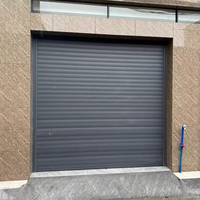 Portes à enroulement anti-effraction en alliage d'aluminium modernes aux couleurs personnalisées pour l'entrée des garages et entrepôts
