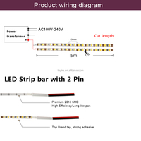 Bande LED numérique adressable ultra-fine de 2,7 mm, pixels SMD RGBIC, DC 5V 12V, couleur magique, 160 LED/m, WS2811 WS2812B, IP20