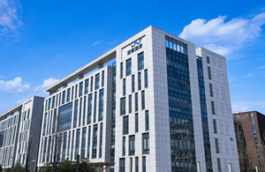 WDWK BIOTECH Набор для быстрого количественного флуоресцентного тестирования дезоксиниваленола (ДОН) для определения микотоксинов в кормах и зерне, простое в использовании - Product Image 4