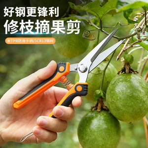 Pinheng Garden Shears Stainless Steel Bypass <b>Pruner</b> 20-30 Mm For Pruning Branches Orange Manual Operation - Product Image 3