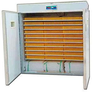 Sistema Completo per Incubazione Commerciale |   Incubatrice Industriale Automatica con Capacità di 5000 Uova per Appalti Governativi - Product Image 3