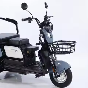 Scooter 1000W longue portée, moto tout-terrain à trois roues pour adultes, sans avis, scooter 1000W - Product Image 1