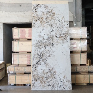 Panel de Pared de PVC Ligero, Impermeable y Fácil de Instalar con Textura de Mármol de Primera Calidad, Fabricante OEM/ODM para Interiores - Product Image 2