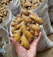 高品質の新鮮な乾燥した若い生姜食品 中国生姜卸売価格 生姜根 - Product Image 5