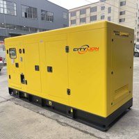 Générateurs diesel silencieux refroidis par eau, étanches, pour usage domestique, 188 KVA 188KVA 150KW 150 KW, pour zones isolées - Vente flash