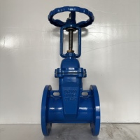 Vanne à joint souple de haute précision structure de sécurité et de contrôle de puissance électrique et manuelle tige lumineuse de qualité supérieure pour gazole d'eau