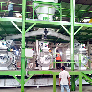 Richi SINH KHỐI PELLET máy dây chuyền sản xuất tùy chỉnh 8-10t/h gỗ rơm trấu cỏ PELLET dây chuyền sản xuất - Product Image 2