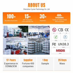 Fabrieksdirect 12.8V 100Ah LiFePO4 Autostartbatterij met 400CCA 600A piekstroom, 2 jaar garantie, 6000 cycli - Product Image 5