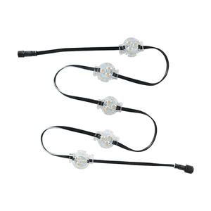 SHIJI 30mm RGBW LEDピクセルライトUCS2904 IC IP67防水12V/24V/48V常時クリスマストラックポイントライト - Product Image 6