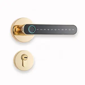 新设计5050榫眼室内门智能指纹分开锁与图雅应用