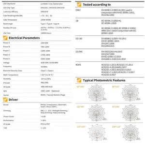 Le site Web de rue de lumière led examine les poteaux de réverbère octogone à bras unique de 8m - Product Image 5