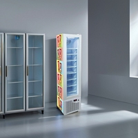 Mode Chine Congélateur Frizer SingleTemperature Congélateur Coffre Avec Verre Top SingleTemperature 60 Degrés Congélateur