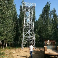 Tour de surveillance de la sécurité publique en treillis d'acier pour l'observation des incendies forestiers, structure d'observation haute résistance